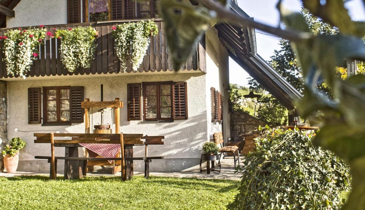 Vineyard Cottage Podrzaj Otočec المظهر الخارجي الصورة
