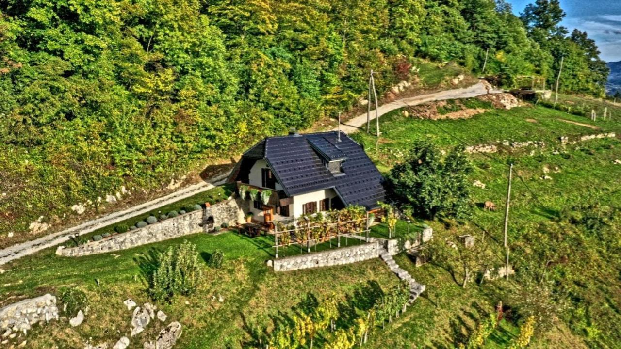 Vineyard Cottage Podrzaj Otočec المظهر الخارجي الصورة