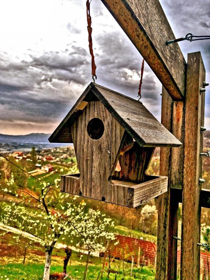 Vineyard Cottage Podrzaj Otočec المظهر الخارجي الصورة